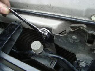 Name:  CaddyHorn027.jpg
Views: 3572
Size:  16.5 KB