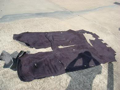 Name:  Carpet_Done_001.jpg
Views: 3062
Size:  31.0 KB