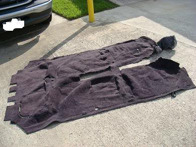 Name:  Carpet_Done_003.jpg
Views: 3142
Size:  36.2 KB
