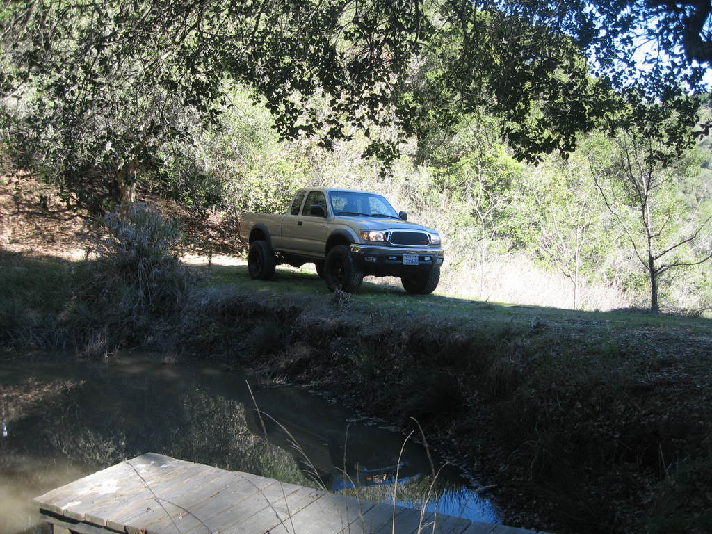 Name:  IMG_5987.jpg
Views: 1215
Size:  194.2 KB