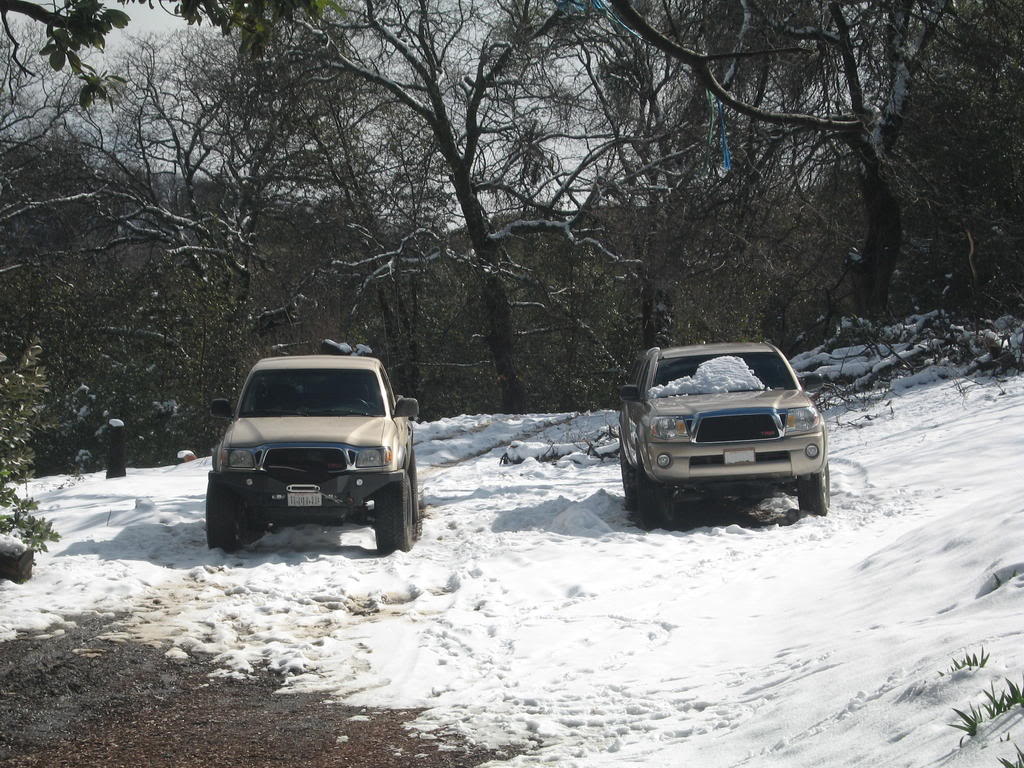 Name:  IMG_0555.jpg
Views: 1057
Size:  173.5 KB