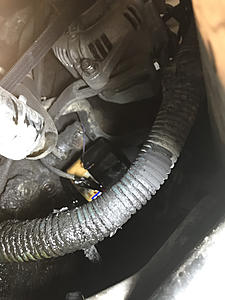 What wire is this?-photo279.jpg