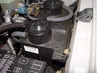 Buzzing under my hood (PICTURE)-stuff.jpg