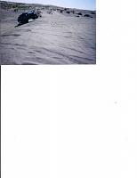 Pic of Big Bad Blue catching some air-blue-jump-2004.jpg