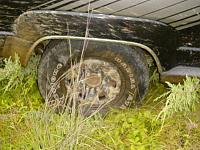 Rear Flex-dsc01817-3-.jpg