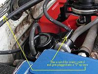 Is this bad?!?!-pa314916.jpg