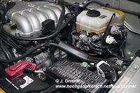 !!Speedy's Supercharger Thread!!-noevap.jpg