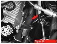 Thorley headers GROUP BUY on CT-egr.jpg