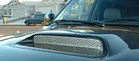 Custom Grille Insert   < Pictures Included>-scoop.jpg
