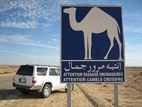 Road Trip - South Central Tunisia-img_0381a.jpg