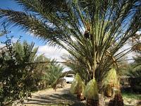 Road Trip - South Central Tunisia-img_0394a.jpg