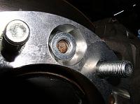 The Punishers New Meats-spacer.jpg