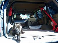 Added fog lamps to TJM &amp; 1st gen roll bar (pics)-4runner.jpg
