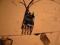 I've got the blues-img_3144.jpg