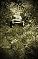 A few Pics of my stock 99-4runner :).-4runner7.jpg