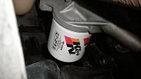 Oil Filter Housing Seal leak? also fuel filter-pb100352.jpg