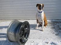 >> Will these LUG NUTS work??  (pics)-img_0009-1.jpg