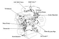 97 3.4 IAC/TPS Problems-cooling-system-diagram.jpg