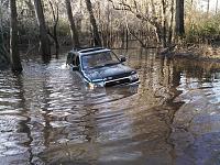 (pics) Sunk 4Runner. Electrical, Mechanical, and Emotional help needed-finding-nemo.jpg