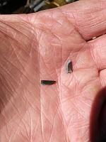 my busted bucket; need help with a botched valve adjustment-2014-04-16-13.42.23.jpg