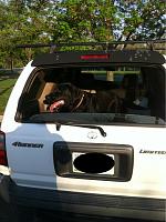 Big dogs in your 4Runner-image-3789232459.jpg