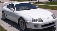 New Guy: What's Up?-supra.jpg