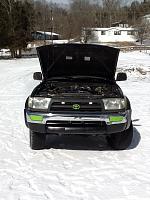 Fresh coat ..-image-1198834807.jpg