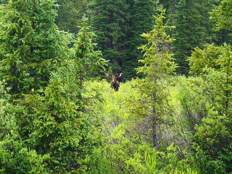 Name:  Colorado%20Utah%202015%20091%20-%20Copy_zpsa7a9fili.jpg
Views: 393
Size:  361.2 KB