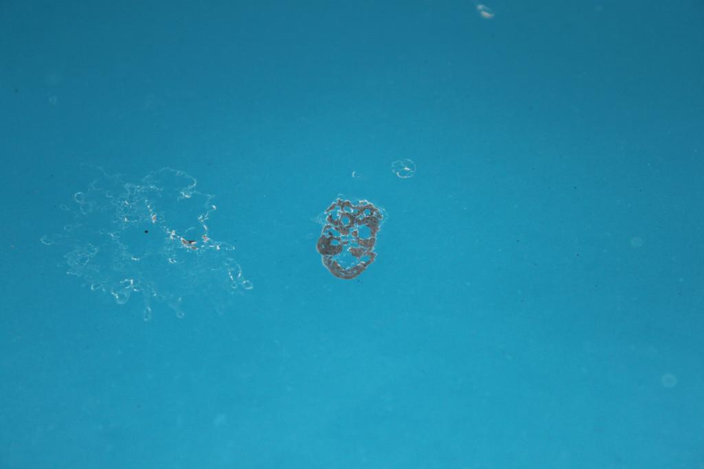 Name:  IMG_6246_zps14a3002b.jpg
Views: 90
Size:  27.8 KB