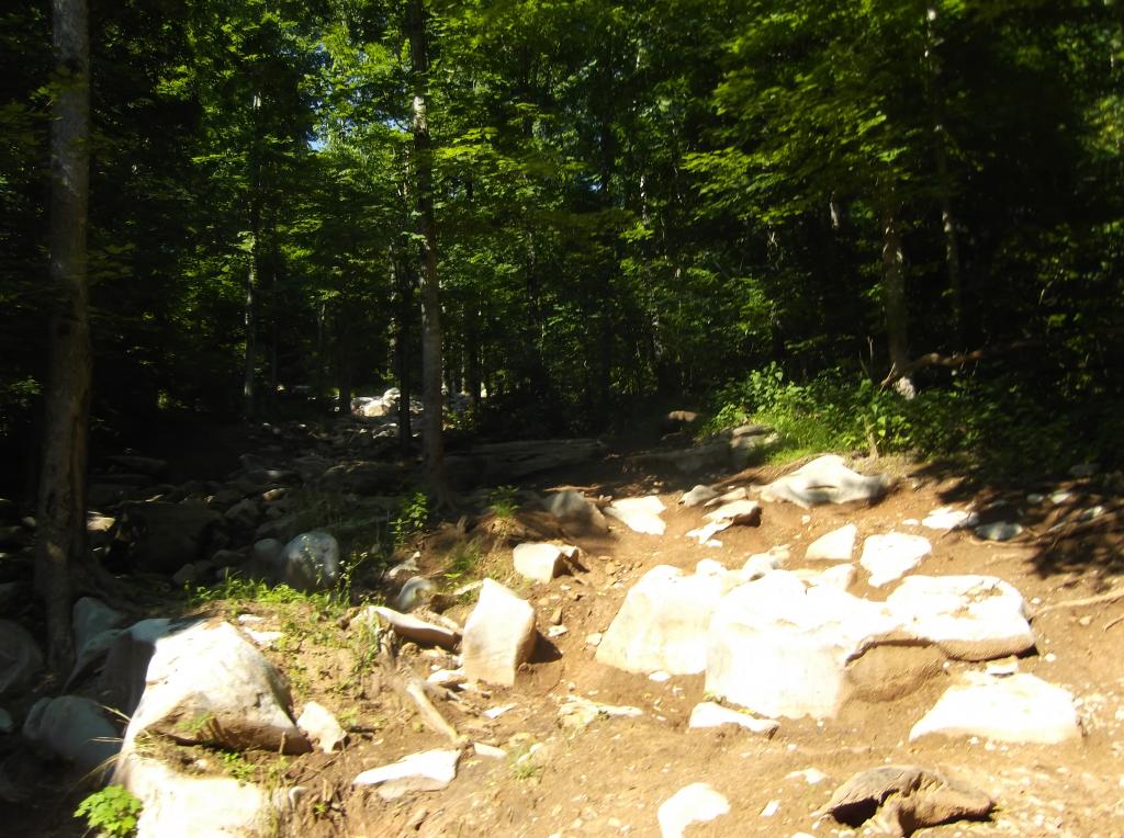 Name: 008_zpsd1d4aa4c.jpg
Views: 57
Size: 138.7 KB