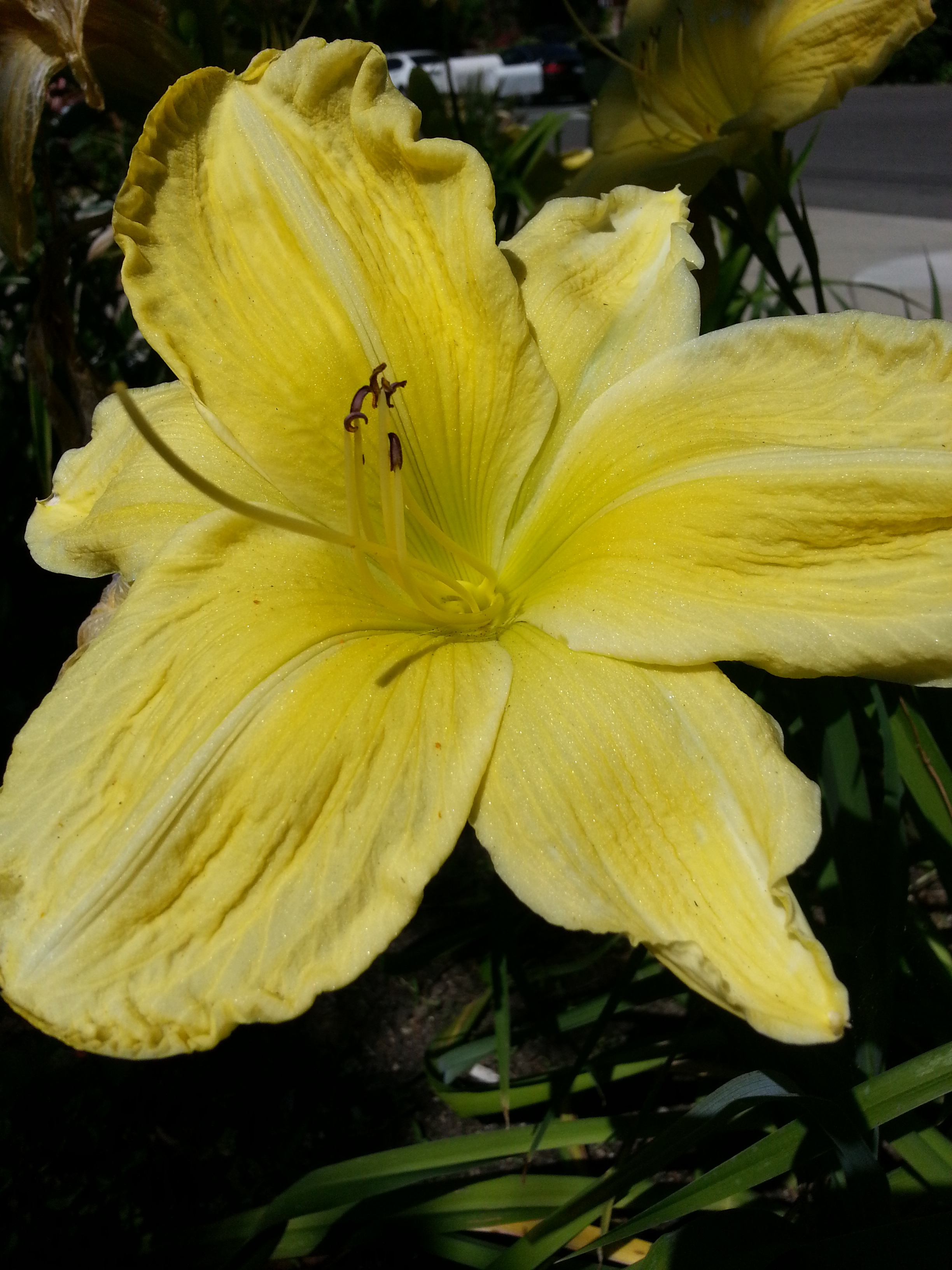 Name:  20130614_150953.jpg
Views: 1447
Size:  2.05 MB