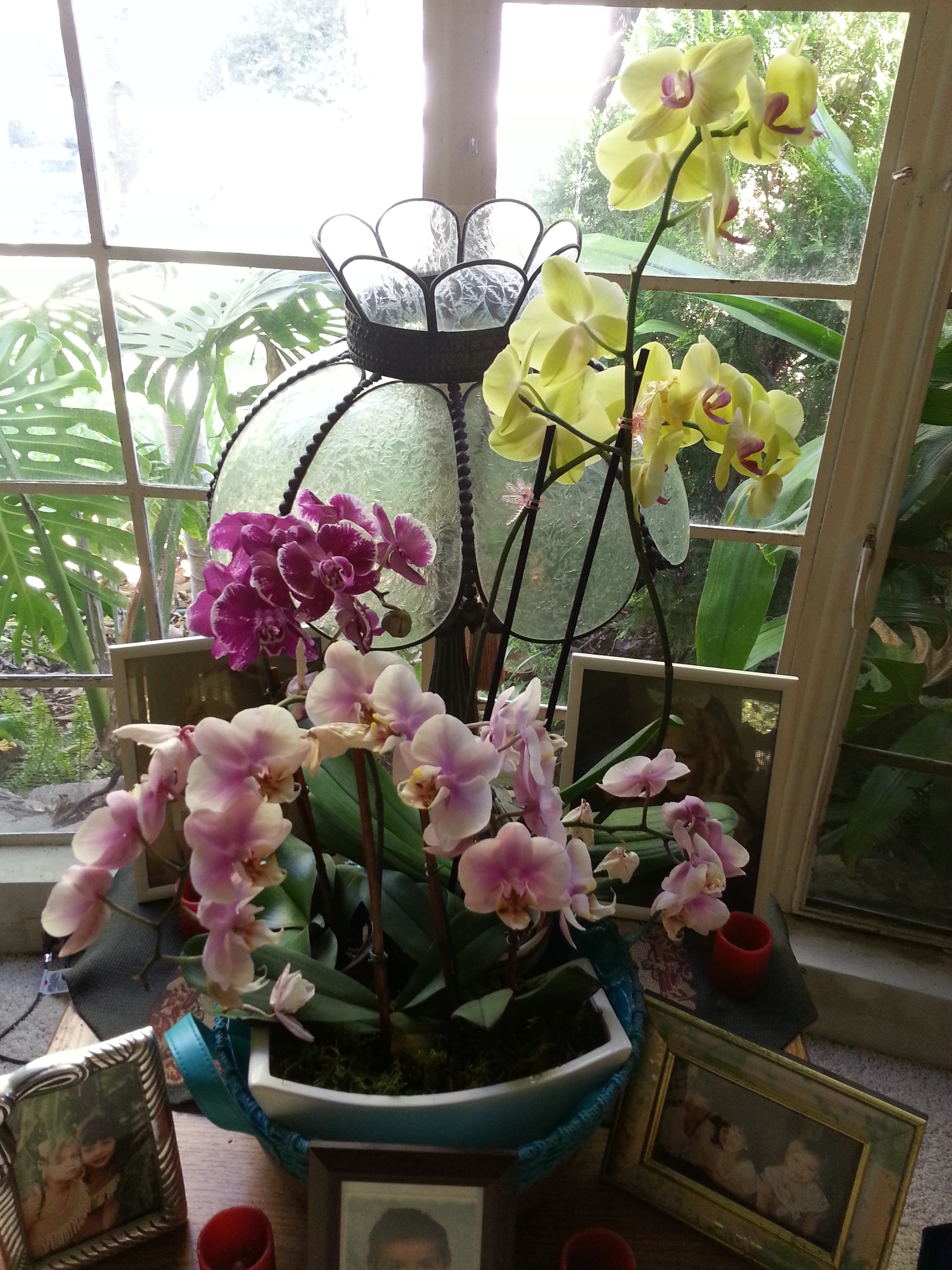 Name:  20130614_151311.jpg
Views: 1501
Size:  2.38 MB