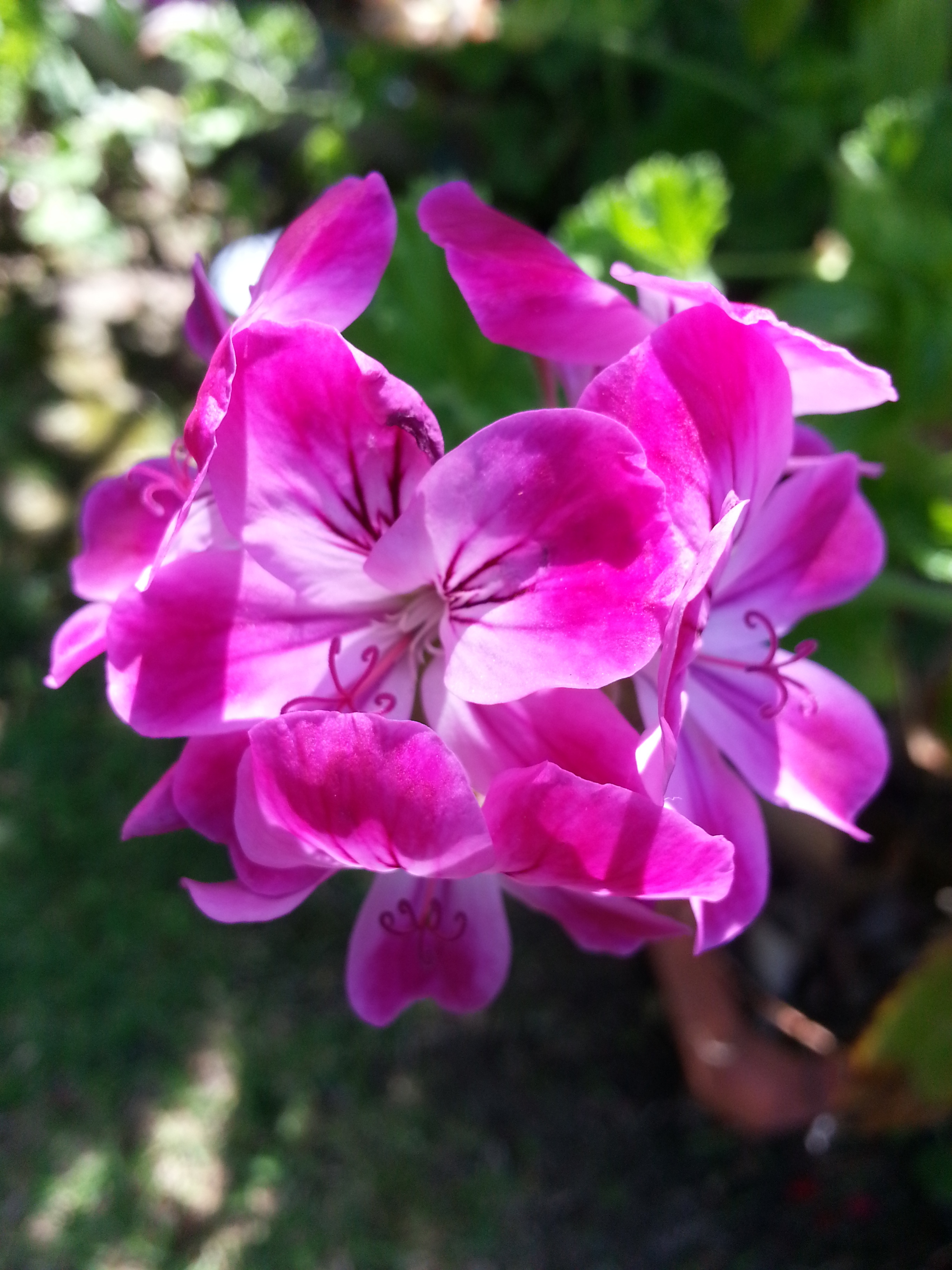 Name:  20130614_151023.jpg
Views: 1498
Size:  2.05 MB