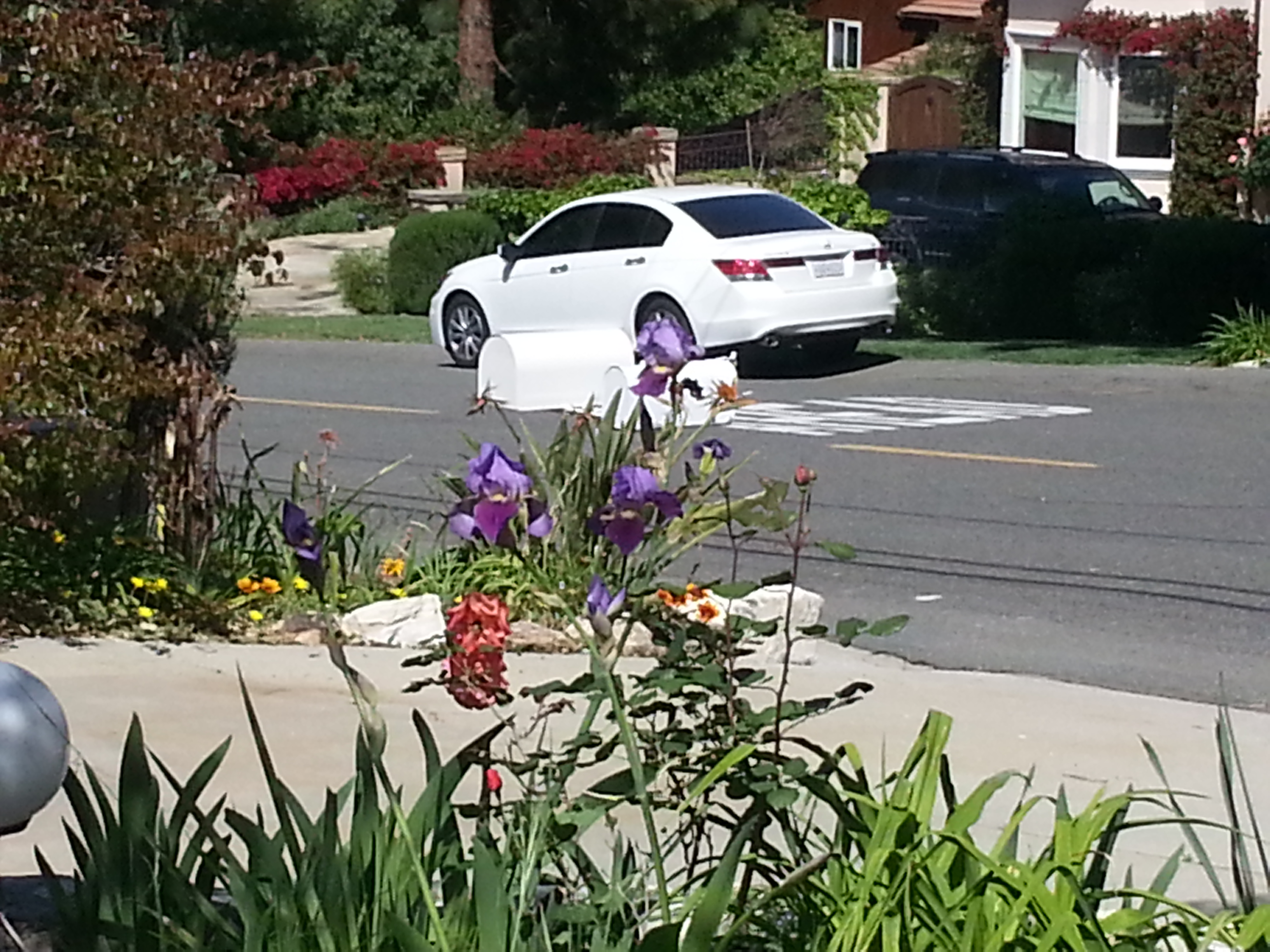 Name:  20130411_150929.jpg
Views: 221
Size:  1.88 MB