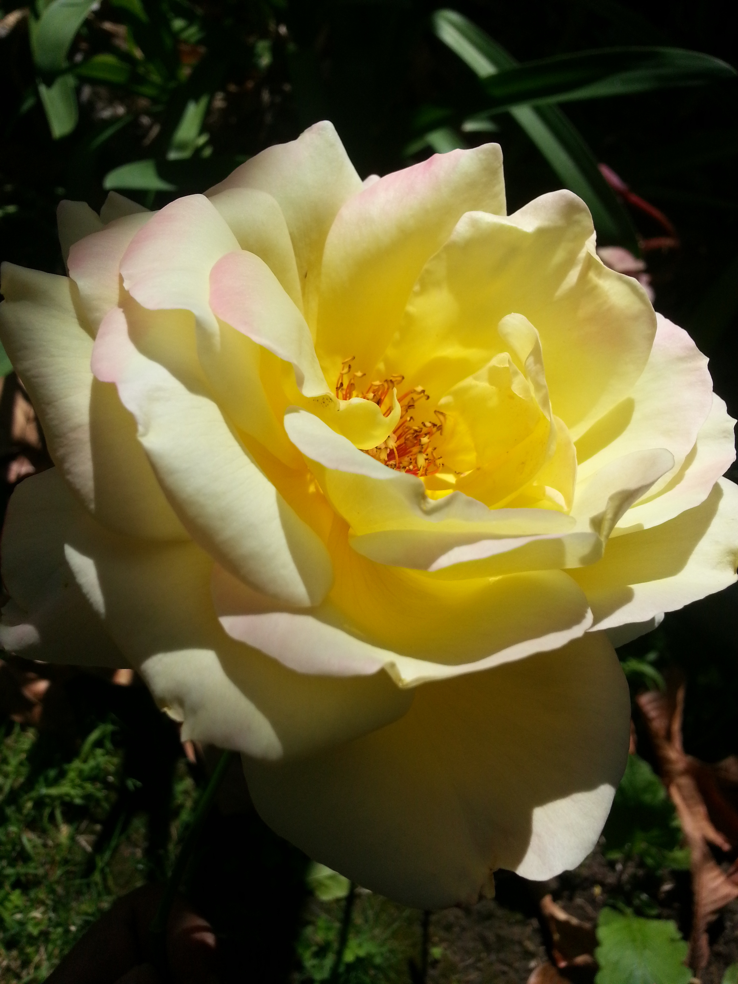 Name:  20130411_150909.jpg
Views: 230
Size:  1.72 MB