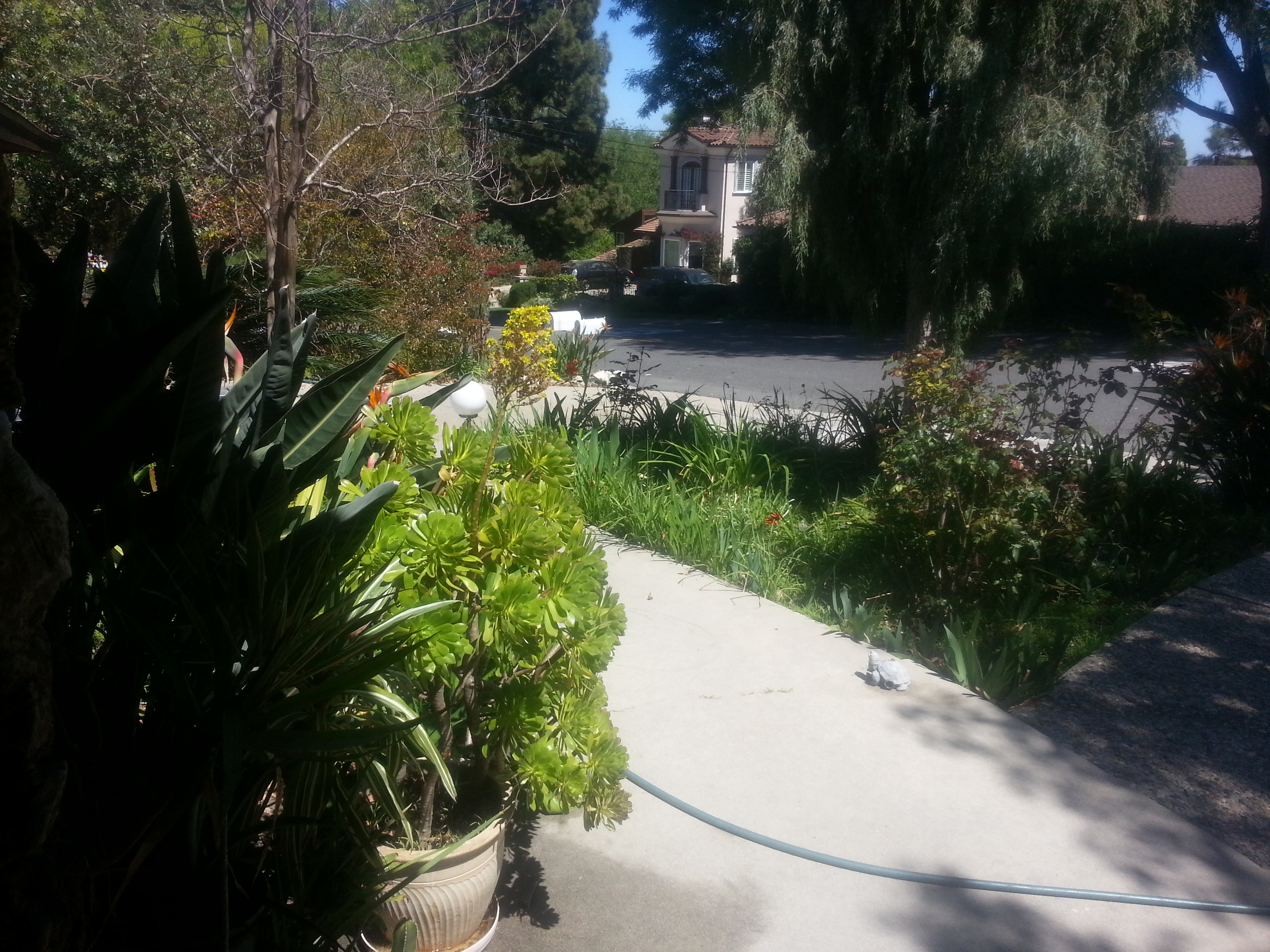 Name:  20130330_132203.jpg
Views: 258
Size:  2.94 MB