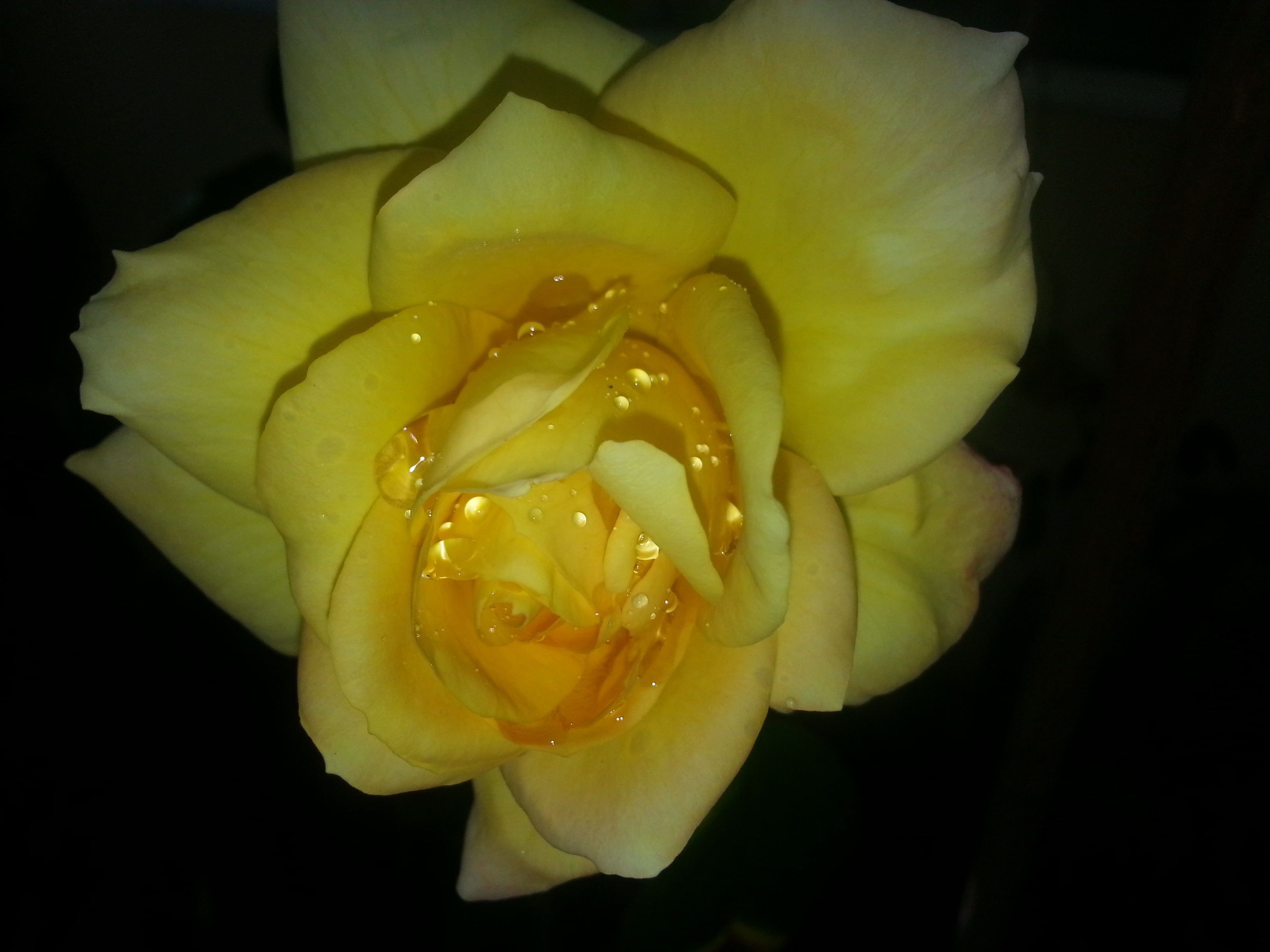 Name:  20130402_135040.jpg
Views: 245
Size:  1.34 MB
