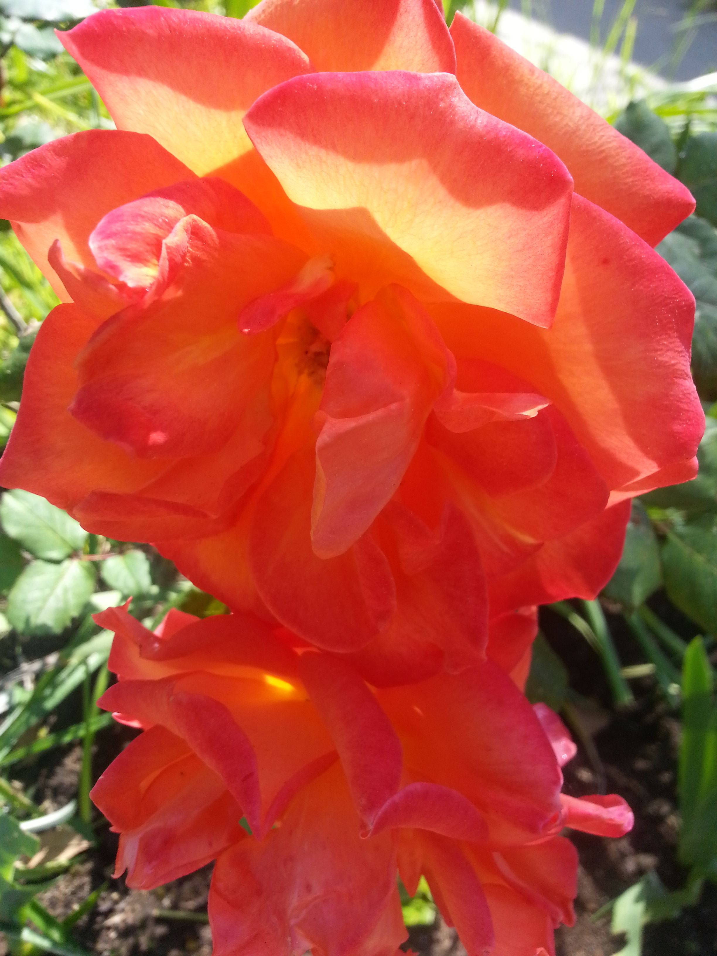 Name:  20130405_153052.jpg
Views: 225
Size:  1.96 MB