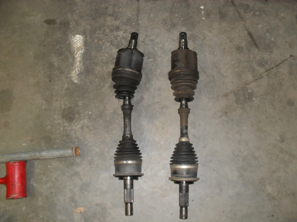 Name:  SDC10508.jpg
Views: 105
Size:  86.3 KB