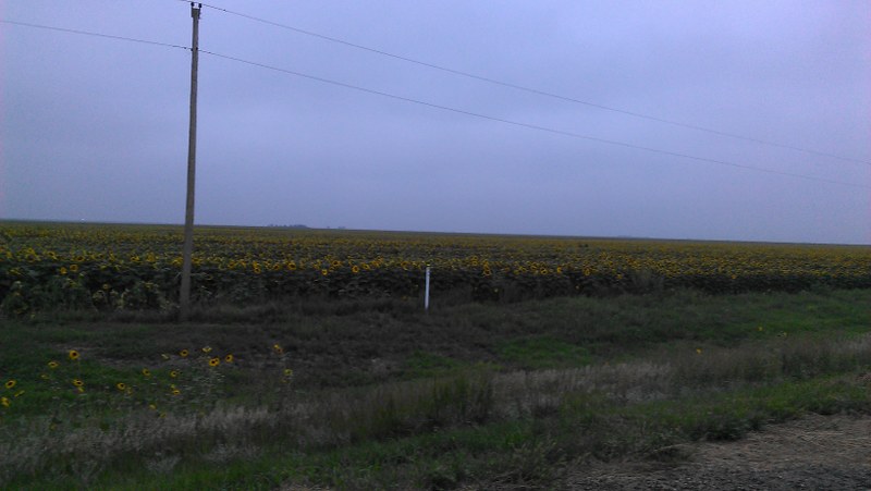 Name: IMAG1032_800x451_zps62dfb784.jpg
Views: 962
Size: 69.6 KB