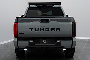 Stage Series Reverse Light Kit for 2022 Toyota Tundra | Diode Dynamics-fnd70rn.jpg
