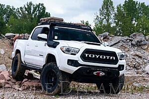 💥NEW!💥 Stage Series Ditch Light Kit for 2016-2021 Toyota Tacoma! | Diode Dynamics-fcjxior.jpg