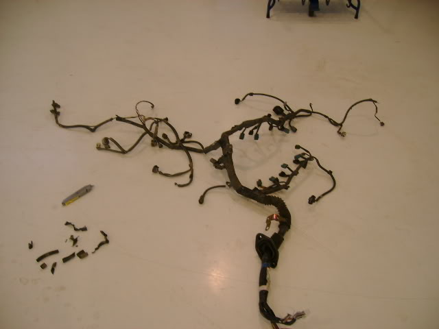 Name:  DSC00291.jpg
Views: 10327
Size:  38.6 KB