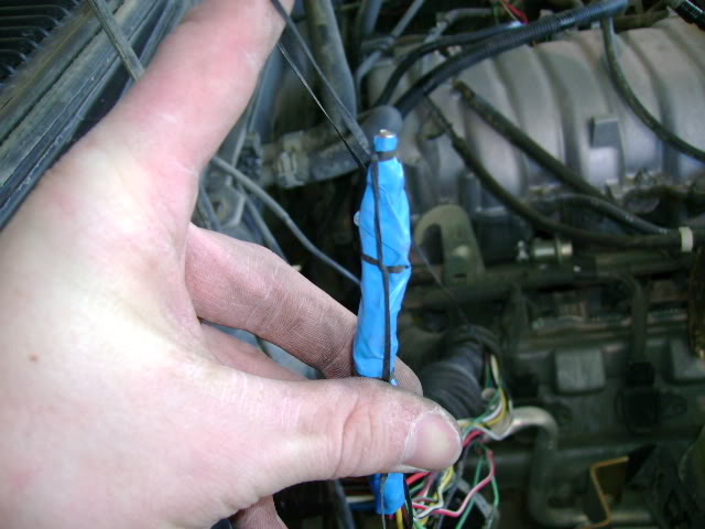 Name:  DSC00304.jpg
Views: 10438
Size:  58.1 KB