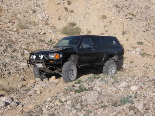 Name:  ocotillo_maddness_004.jpg
Views: 689
Size:  69.6 KB