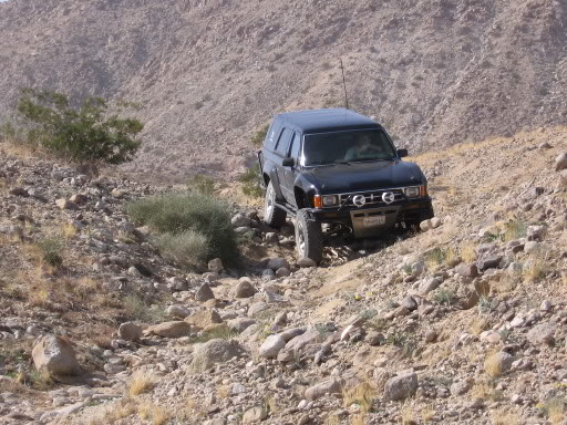 Name:  ocotillo_maddness_010.jpg
Views: 709
Size:  79.3 KB