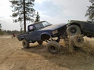 more flex?-21843944_1657989904232989_1216455896_o.jpg