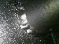 Installed Marlin Crawler Rock Sliders-rock-slider3.jpg