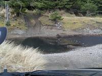 Snorkel Craze: use em or loose em?-158_13718695789_8702_n.jpg