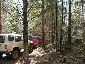 Washington Wet Wheelers-adgoznu.jpg